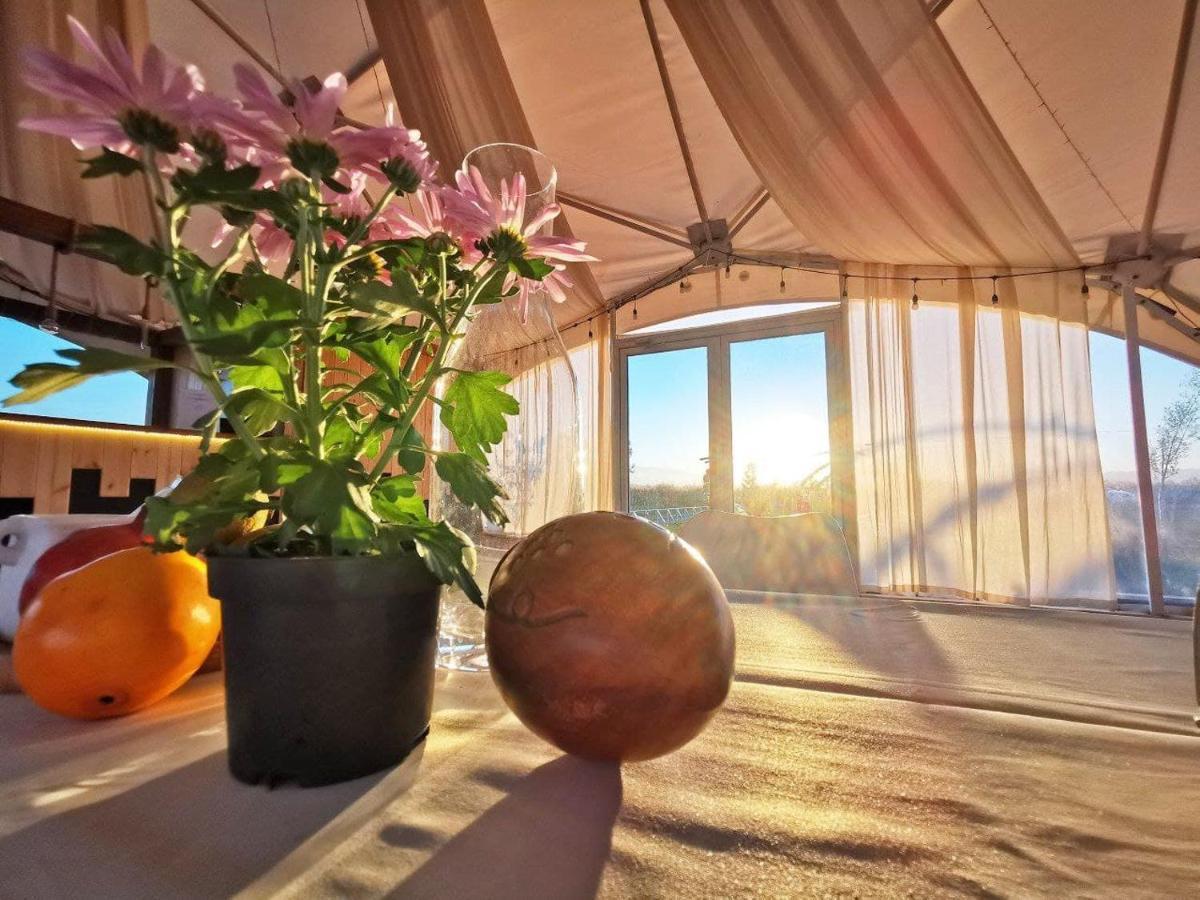 Jewelberry Glamping Hotel Tbilisi Mtskheta Exterior photo